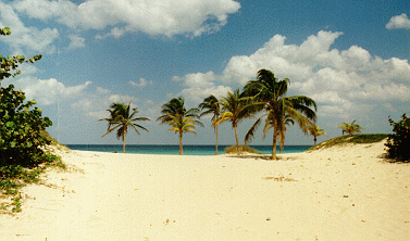 guanabo_beach.gif (47560 bytes)