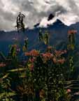 HighMountain.jpg (9009 bytes)