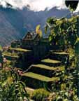 IncaTrail.jpg (10609 bytes)