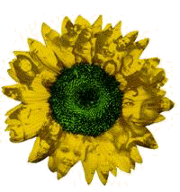 The_Green_Party_of_Texas