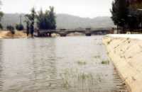 Rio e Ponte