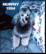 Murphy 1994