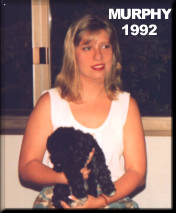 Murphy 1992