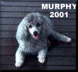 Murphy 2001