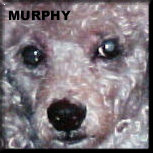 Murphy em 2001
