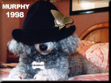 Murphy 1998