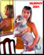 Murphy 2001