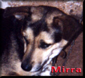 Mirra