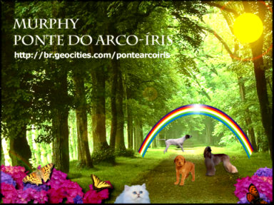 Murphy - Ponte do Arco-�ris