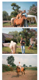 Meppe Dirks mit Collieh�ndin Anka und Ponys; Reinhard Koopmann mit Schuffi; Gast auf Lady