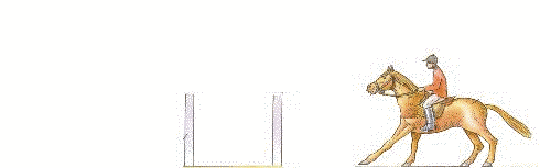 oxer2.gif - 45463 Bytes