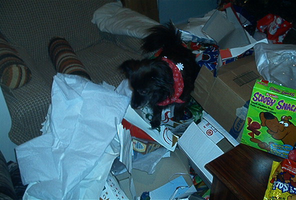 Poochie+paper 2003