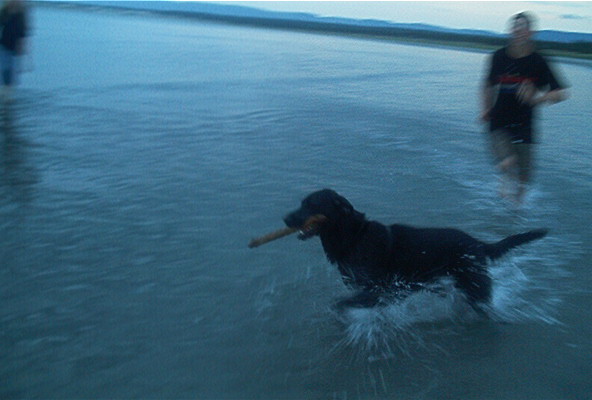 yet another picture of us. Its bluury I know, but I like the sort of "action" feel it has to it