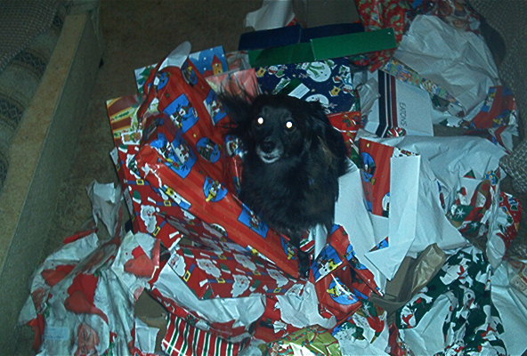 Poochie Christmas morning 2002