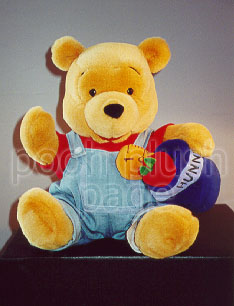 Pooh Plush Image
