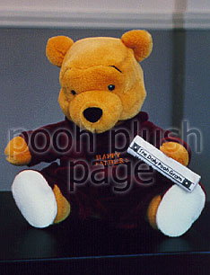 Pooh Plush Image