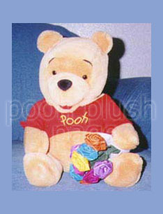 Pooh Plush Image