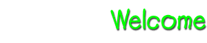 Page Title