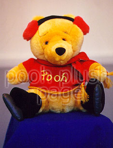 Pooh Plush Image