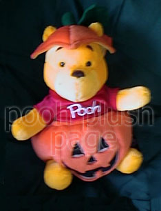 Pooh Plush Image
