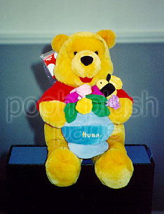Pooh Plush Image