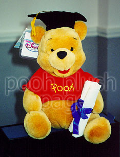 Pooh Plush Image