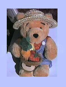 Pooh Plush Image
