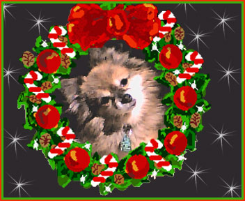 Pookie gives a Christmas Kiss!