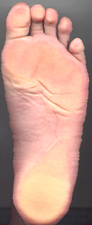 foot