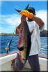 Hey look! I caught me a tuna fish!