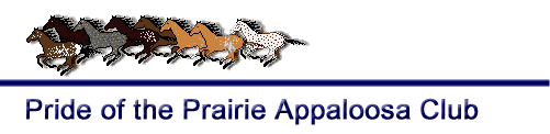 Pride of the Prairie Appaloosa Club