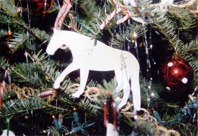 Appaloosa Christmas Ornament