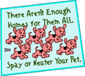 Spay Or Neuter Your Pet