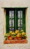 Green Window in Provence
