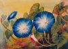 Morning Glories VII