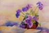 Violets