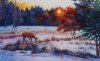 Winter Sunset