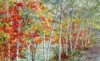 Birches along the Kancamangus