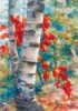 Birches along the Trail