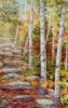 Birches along the Trail II