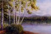 Birches at White Lake