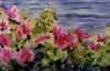 Roses by the Sea