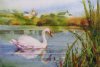 Swan on Block Island
