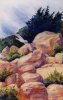 The Rocky Coast