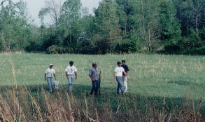 Field Day