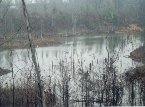 this is our training lake on a cold and rainy day.
