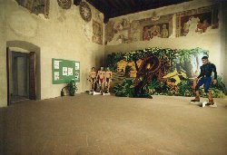 La foresta amazzonica.