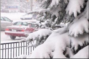 Winter Day in Brampton