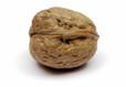 Big-daddy nut