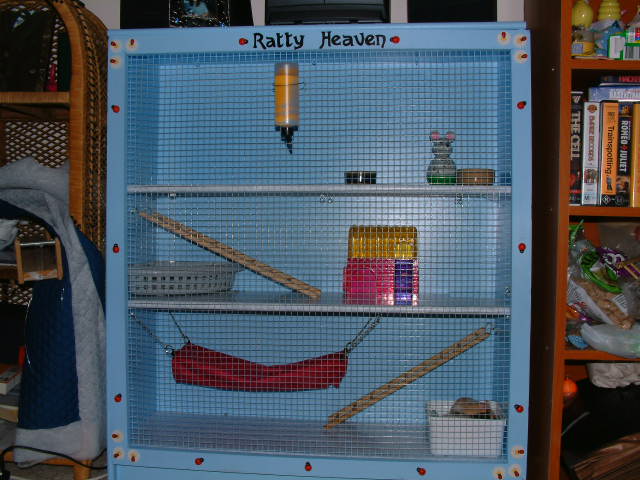 How To Build Your Own Ratty Heaven